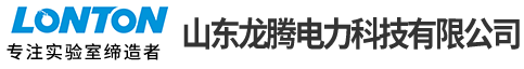 山东龙腾电力科技公司